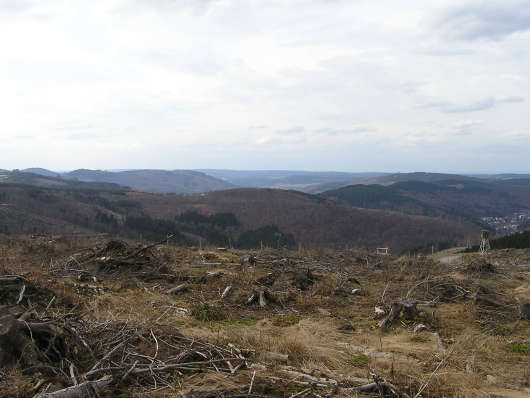 Blick vom Hohen Eimberg in Richtung Westen. Am äußersten linken Blidrand lassen sich die Bruchhauser Steine erahnen. Am rechten Bildrand liegt Brilon-Wald. 